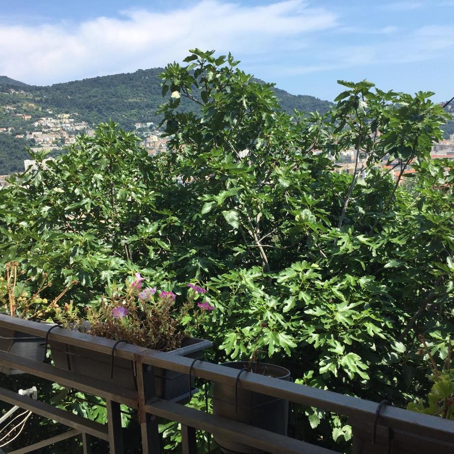 Appartement 02 Vue Panoramique -Wifi- Parking Prive -นีซ ภายนอก รูปภาพ
